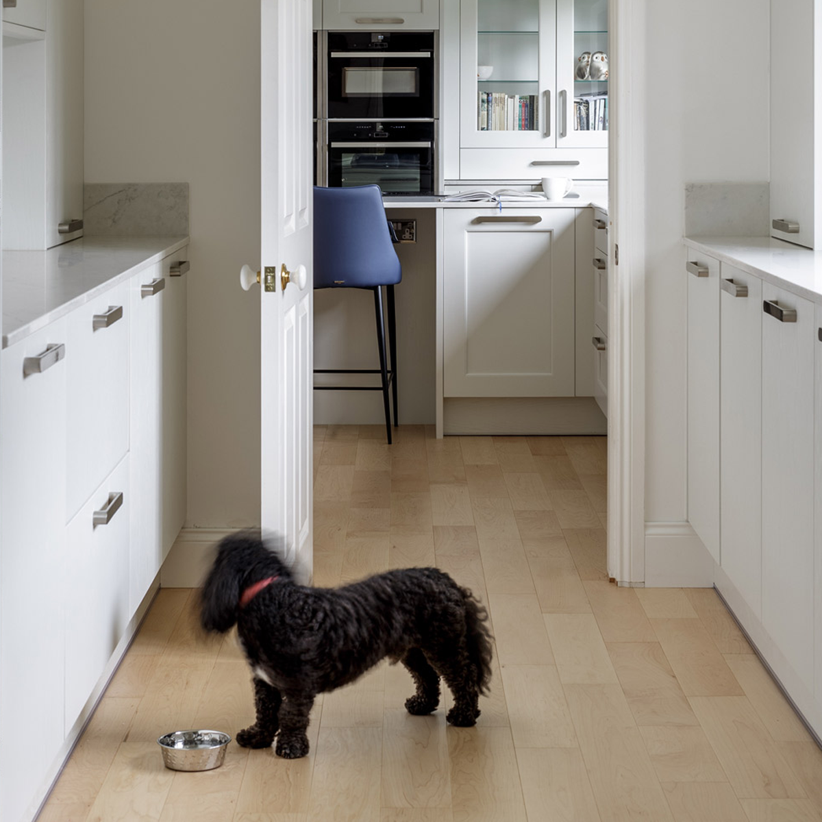 utility room for pets